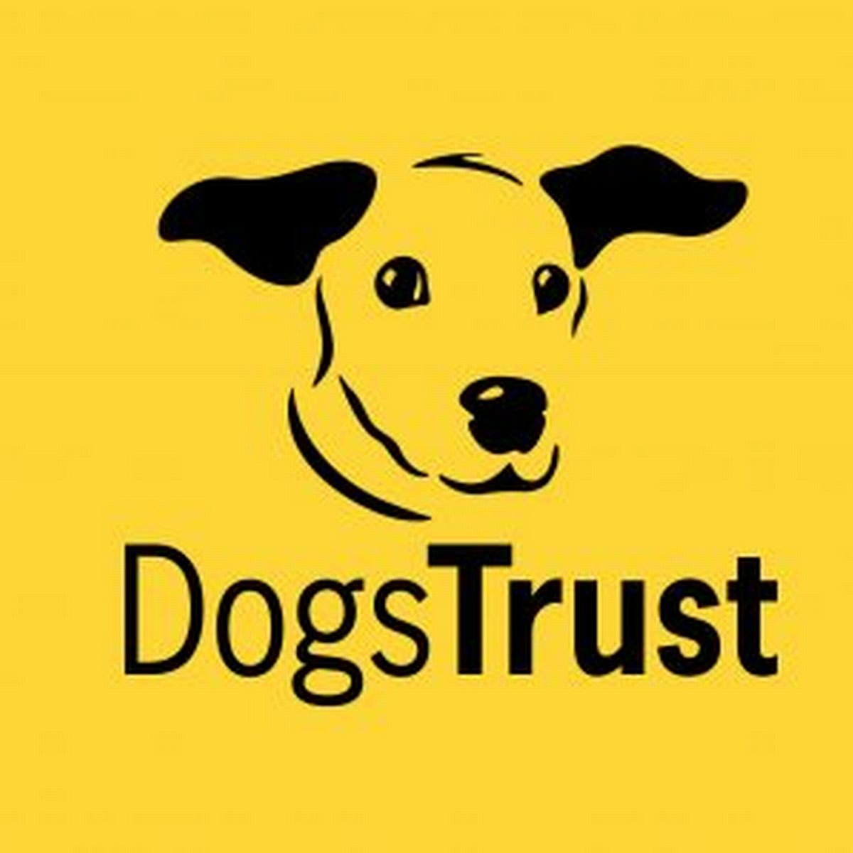 Dogs Trust Logo Dogs Trust Logo - Yellow and black